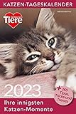  Ein Herz für Tiere: Katzen Tageskalender 2023 (Tischkalender, Wandkalender)