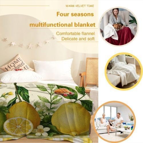 Coperta Pile Matrimoniale 240x260 cm Limone Giallo, Coperta XXL Super Morbida Multiuso Come Copriletto o Plaid da Salotto, Calda e Leggera, Protezione dal Freddo, AQ8724