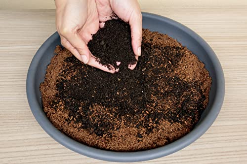 R&R SHOP - 100% Italian Organic Earthworm Humus, Neutral PH Ideal for Enhance the Soil of Plants Flowers and Vegetable Gardens (2L) - Image 2
