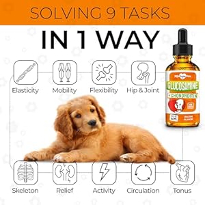 Glucosamine-for-Dogs-Liquid--Hip-and-Joint-Supplement-Dogs-Liquid--Dog-Joint-Supplement-Liquid--Glucosamine-for-Small-Dogs--Liquid-Glucosamine-for-Dogs--Bacon-Flavor--2-Oz - Cucciolini Doodles   Glucosamine-for-Dogs-Liquid--Hip-and-Joint-Supplement-Dogs-Liquid--Dog-Joint-Supplement-Liquid--Glucosamine-for-Small-Dogs--Liquid-Glucosamine-for-Dogs--Bacon-Flavor--2-Oz