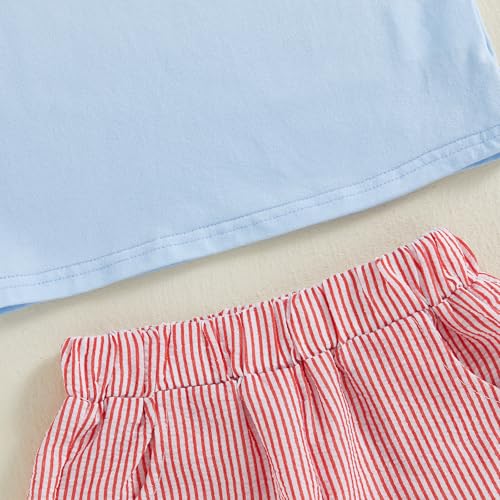 Image of Toddler Boy Summer Outfits Little Lobster Clothes Short Sleeve T-Shirts with Stripe Shorts 2Pcs Clothes Set (Crawfish Sky Blue, 5-6 Years)