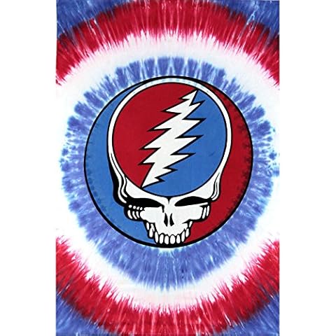 Sunshine Joy Grateful Dead Mini Tapestry Steal Your Face Tie Dye Wall Art 30x45 Inches Cover