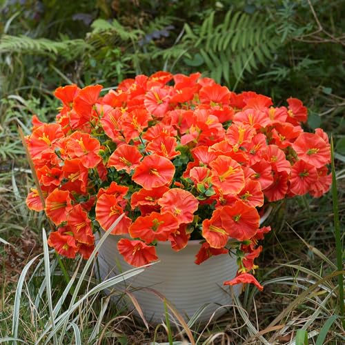 Image of Artificial Flowers for Outdoors, UV Resistant Fake Silk Morning Glory, Realistic Faux Plants for Outside Porch Patio Window Box Hanging Planter (16, Orange)