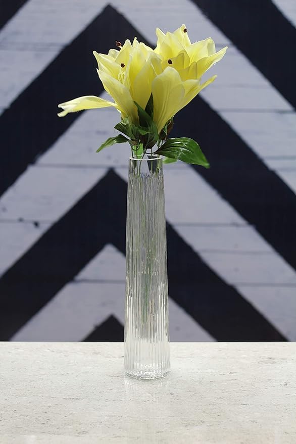 Shobhana Enterprises Clear Flower Vase, 18 Inch Tall, for Home Decor, Wedding, Party, Event Decoration (5X18 inch) (B0DCJPY461) Amazon Price History, Amazon Price Tracker