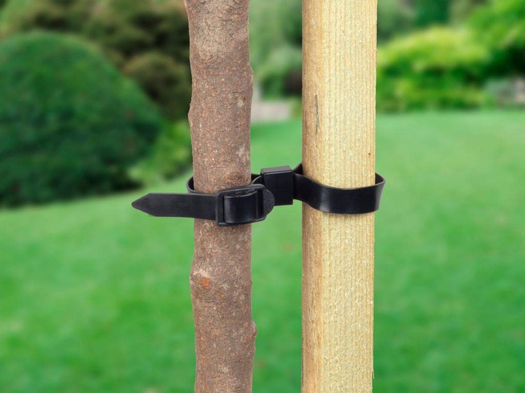 Ambassador Adjustable Rose And Shrub Ties (Pack Of 4)