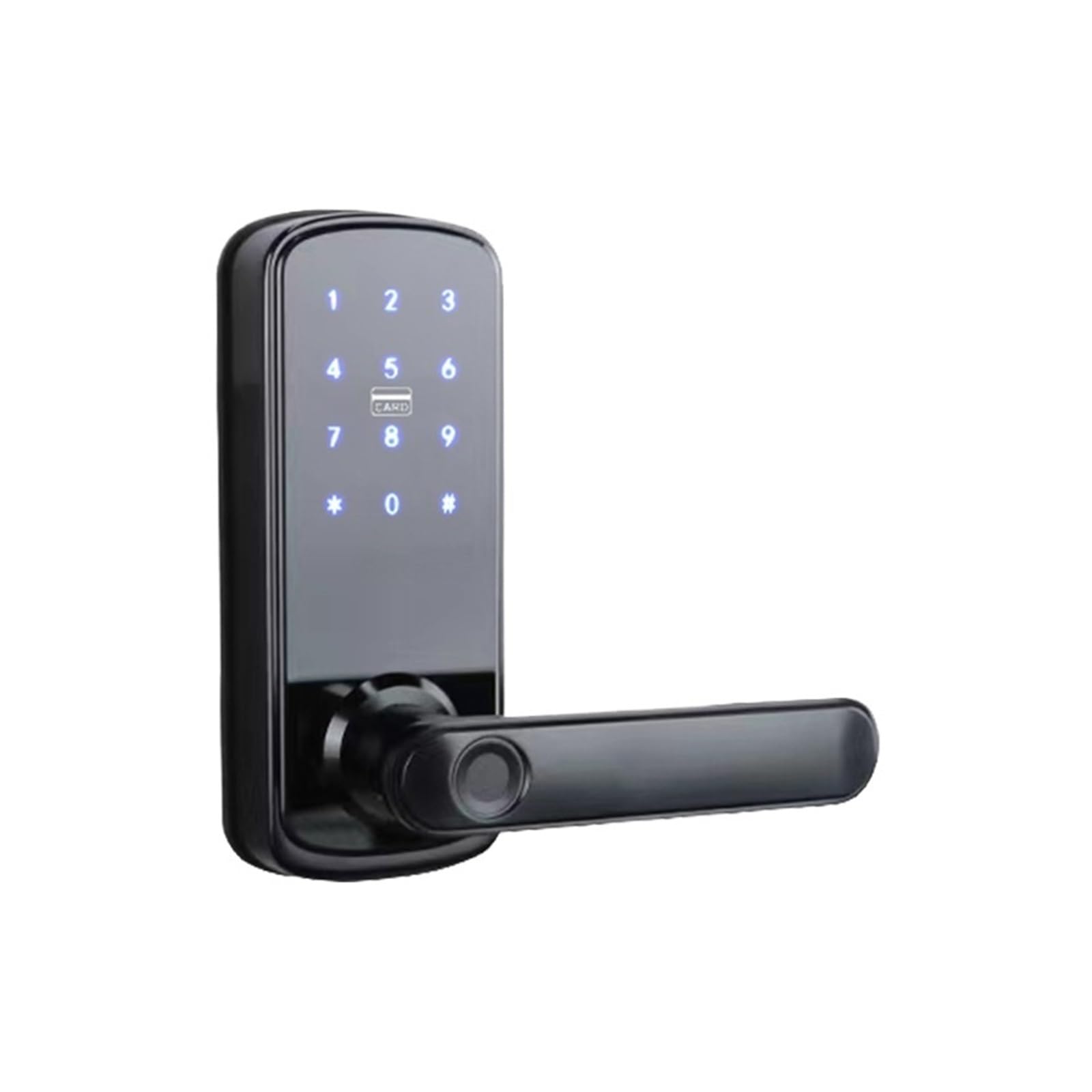 DIGNIFE Smart Door Lock, Single Latch Smart Lock Fingerprint Password Electronic Door Lock for Household Use(Nero,Ty)