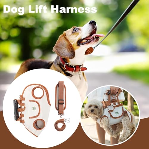 Hundeaufzugs Schlinge Stützkabelbaum - Verstellbare Haustierträgerweste für kleine und mittlere Hunde oder Katzen | Mobilitätshilfe für Gehen, Reisen, Camping, Picknick- und Roadtrips im Freie