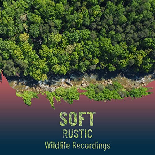 zZz Soft Rustic Wildlife Recordings zZz