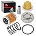 Oil Drain Plug & OIL FILTER + OIL STRAINER + Spring For YAMAHA Raptor 350 Warrior 350 Big Bear 350 400 Wolverine 350 Moto 4 YFM350ER