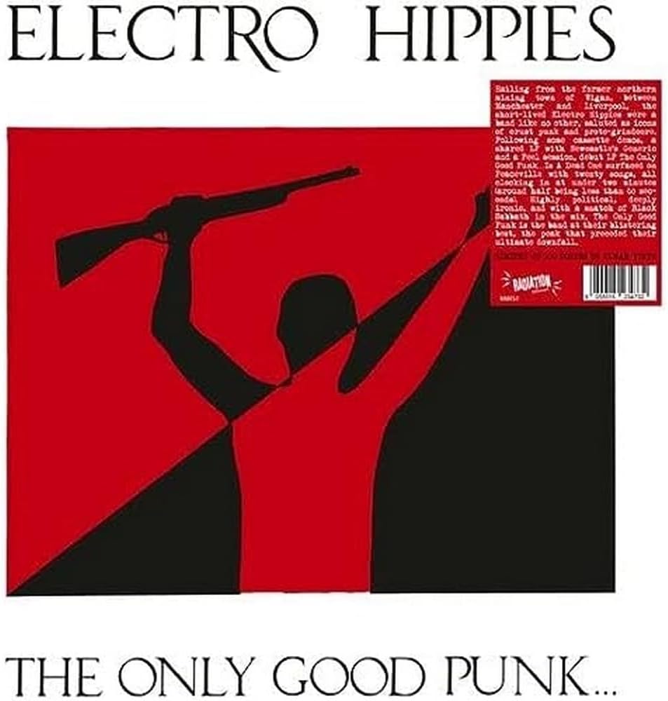 The Only Good Punk Is A Dead One por Electro Hippies — capa do álbum