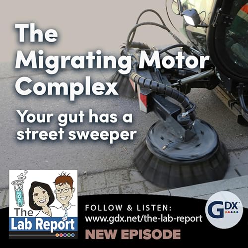The Migrating Motor Complex