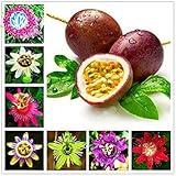 50 Pz Passiflora Semi Frutta Passion Semi di Fiore le per Il Giardino Domestico di Piante Sementes De Frutas Raras:Seeds only