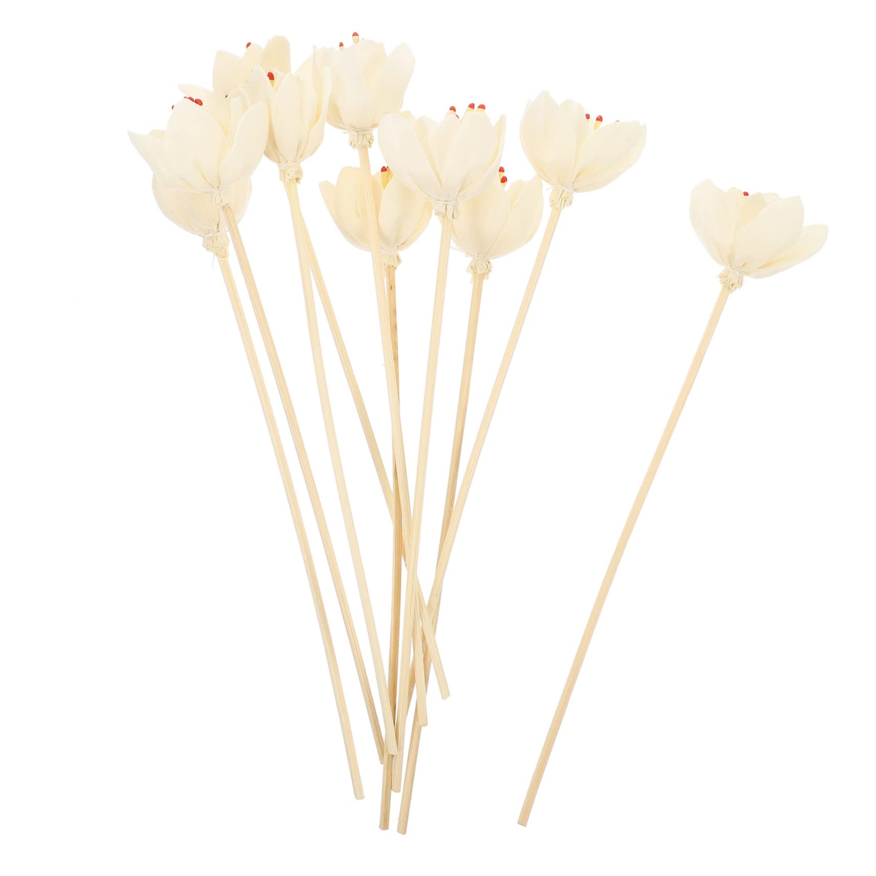 PRETYZOOM 50 Stück Aromatherapie-Rattan Diffusoren zum Selbermachen Blumendiffusor getrocknet Schilf künstlich wohnungseinrichtung wohnungsdeko beige Diffusorstäbe Diffusor-Werkzeuge hölzern