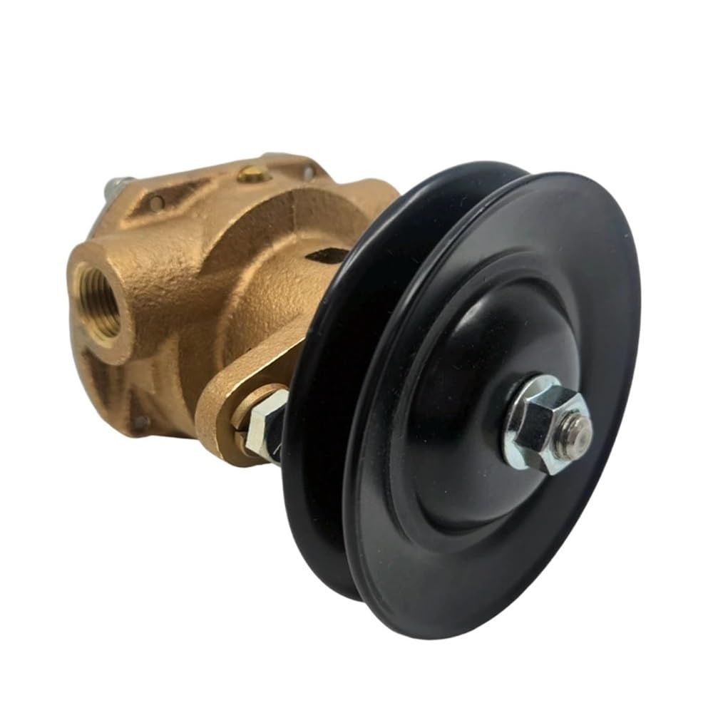 2673732 Pompa acqua grezza con puleggia 344371 344089 Adatta for generatore G906P G907P 4-6 KW Diesel 12,5 KW Gas JPR-KL101P2