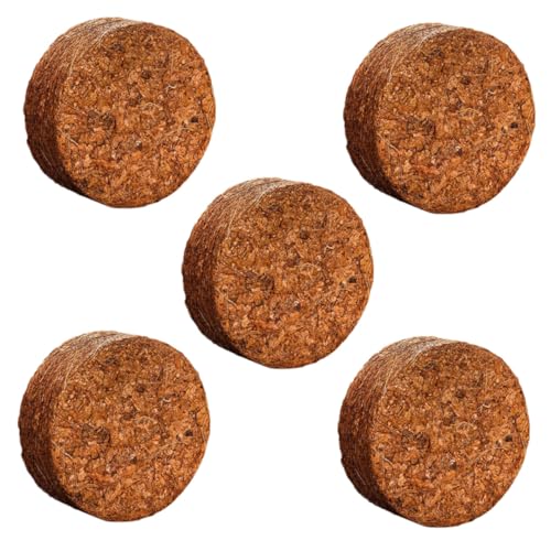 DOITOOL 5 fh{y kRRibc@ۓy ېʋC |pi A Ԗ؍͔|p x_A