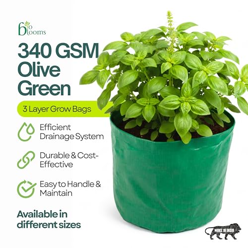 Image of Bio Blooms Round HDPE Plant Grow Bag for Terrace & Kitchen Gardening| Pack of 10| 12x12|200 GSM Heavy Duty Outdoor Grow Bag | Durable Planter for Vegetables, Flowers & Plants (Green & Orange)