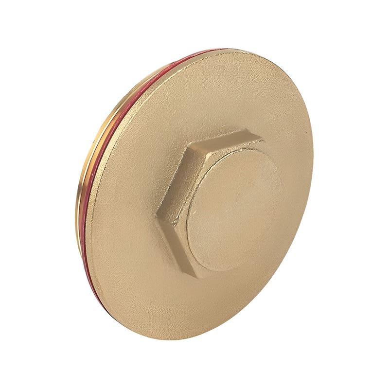 ODSUPPLIES - 2.1/4" Brass Immersion Heater Plug & Washer