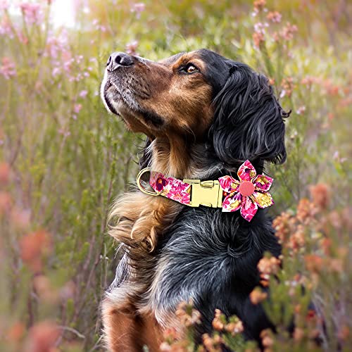 Girl Dog Collar with Flower, Adjustable Cute Dog Collar, Soft & Durable Floral Dog Collar for Small Medium Large Dogs… - Image 4