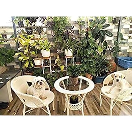 Floor Decor D-12 Outdoor Furniture Garden Patio Seating Set (2 Chairs+1 Table Set) Balcony Furniture Coffee Table Set