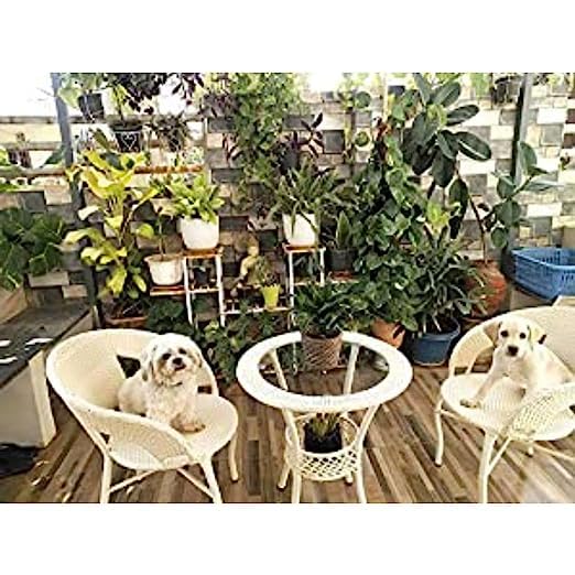 SAI Foam House D-12|Indoor |Outdoor |Living Room| Balcony| Garden| Chair Table Set (2 Chair + 1 Table)| Furniture Set| Coffee Chair Table Set| Powder Coated|