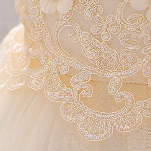 Odasdo Baby Infant Formal Dress Flower Girl Wedding Bridesmaid Lace Tutu Tulle Summer Sleeveless Knee Length Bowknot Baptism Christening Evening Pageant Dress Photography Champagne 18-24M thumb #3