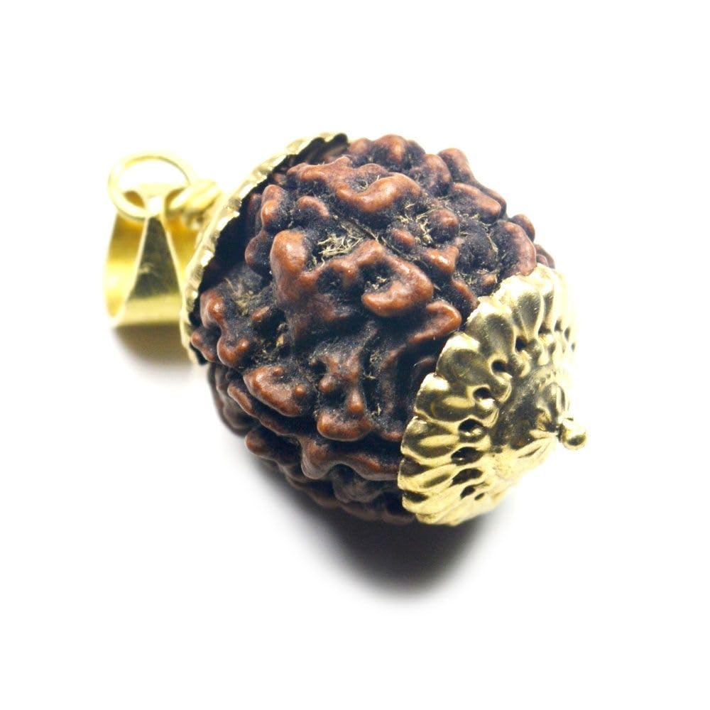 55Carat® Rudraksha-Anhänger, ursprünglich im Labor Zertifiziert, 1 2 3 4 5 6 7 8 9 10 11 12 13 Nepali Gauri Shankar Ganesh Mukhi vergoldeter Rudraksha-Anhänger