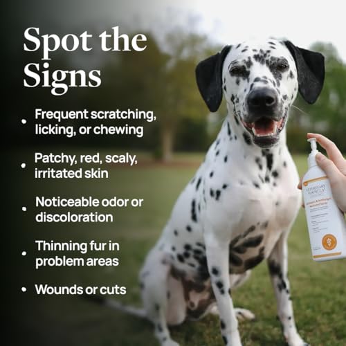 Image of Veterinary Formula Clinical Care Antiseptic and Antifungal Spray for Dogs and Cats - Helps Alleviate Scaly, Greasy, or Red Skin and Supports Skin Prone to Odor Causing Buildup - Pack of 2, 8 oz Each