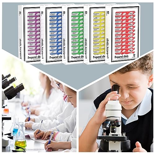 Plastic Prepared Microscope Slides for Kids, Cainda 60pcs Animals Insects Plants Flowers Biological Sample, Stereo Microscope Slide for Students Adult Biology Science Programs