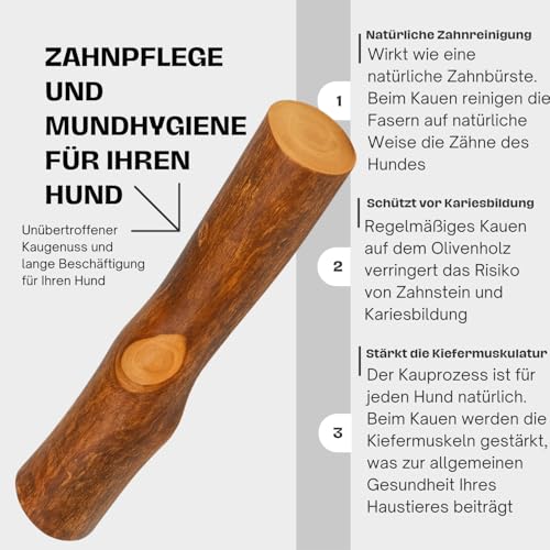 Olivenholz Kauknochen für Hunde – Kauholz & Hundespielzeug - Zahnpflege & langlebige Beschäftigung - Größe L (250–400g), Holzknochen - 2er Pack