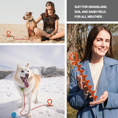 Image of Eurmax USA 2-Pack Heavy Duty Dog Tie Out Stake, No-Tangle In Ground Anchor Runner for Large Dogs up to 210 Lbs - Perfect for Yard, Beach and Camping (Large,Orange)