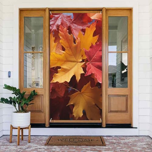 EFJhAJo[ oi[ Ռ ˌJ[e fR[V EBhEJ[e h[v bh CG[ H JGf̗t G߂̃|[`TC ʐ^ wi Ǌ| oi[ tbO 72.8 x 35.4C`