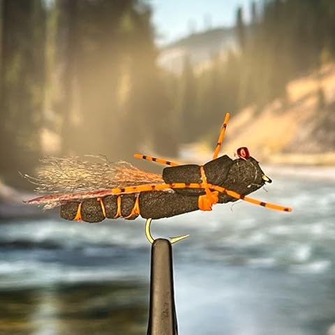 Golden Tippet Project Cicada - Pack of 3 - Terrestrial Dry Fly Attractor - Unsinkable Foam - Dropper Rig - Flyfish for Trout Bass Bluegill Crappie and Other Gamefish (Orange/Black, 8) Cover