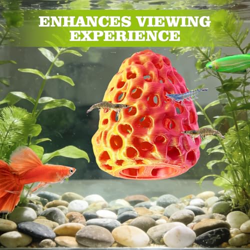 Image of Shrimp Dome Hide, Shrimp Hides for Aquarium, Betta Fish Hideout with Suction Cup, Betta Habitat Tank Ornament Accessories, Aquarium Decor for Small Fish Guppy Hiding Resting (Lid Gold Red)