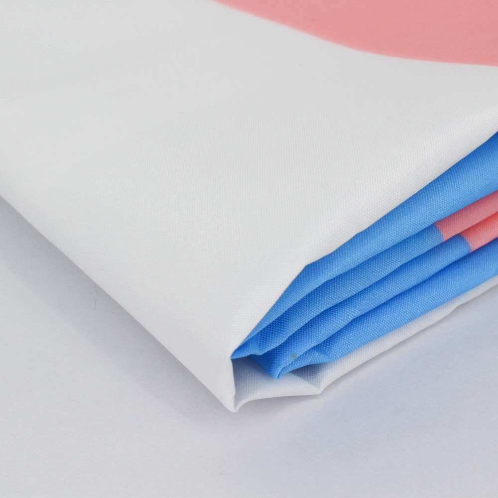 Flaglink Transgender Pride Flag 3x5 Fts - Trans Rainbow Banner 2 Pack