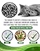No Sweat Activated Carbon Cat Litter Odour Neutralizer-Made Of Coconut Shell-All Natural-No Chemical,Toxic Ingredients-Unscented-Planet Friendly-Economy Pack-500 GR- Packing May Vary