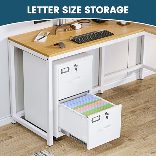 Image of MIIIKO 2 Drawer File Cabinet with Lock, Metal Vertical Filing Cabinets for Home Office, Lockable File Storage Cabinets Under Desk, A4 /Letter File Folders Storage-Assembly Required