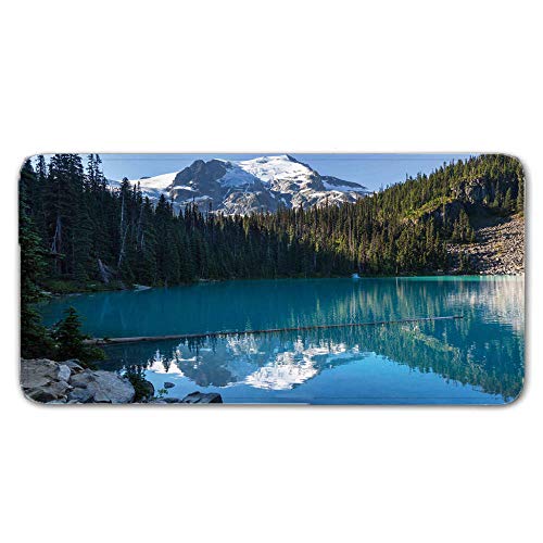FAIEK Alfombras De Pasillo Paisaje Soleado Largas Moquetas Largo Entrada Felpudos Patrón 3D Anti-desvanecimiento Anti-Sucio Aplicar para Ventana De Bahia Dormitorio Sala Lavable Cortable 50x80cm