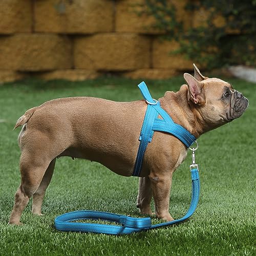 Image of Plutus Pet No Pull Dog Harness for Large Dogs, Breathable Mesh Padded