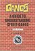 Gangs: A Guide to Understanding Street Gangs - 5th Edition (Professional Development (LawTech Publishing))