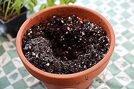 Radha Krishna Agriculture Organic Soil Activator – Pack of 500 g Radha Krishna Agriculture Organic Soil Activator – Pack of 500 g