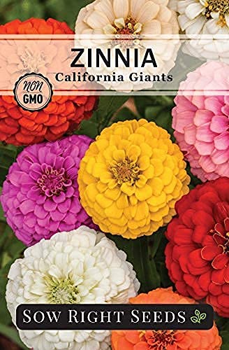 Sow Right Seeds - Zinnia Flower Seeds Collection - Five Packets - Luminosa, Canary Bird, California Giants, Envy, And Thumbelina - Full Instructions For Planting - Wonderful Gardening Gifts #TOP1