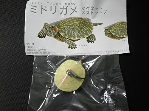 Amazon Co Jp ミドリガメ アルビノ 潜頸 ストラップ ネイチャーテクニカラー 奇譚クラブ マグネット ストラップ ガチャ 緑亀 ミシシッピアカミミガメ 家電 カメラ