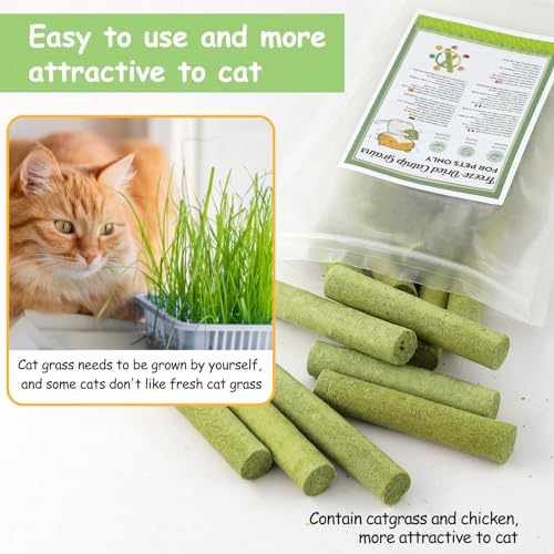 Katzengras Snack, 50g Gefriergetrocknet Snacks für Katzen für die Zahnpflege und Haarknäuel Entfernen, Katzenminze