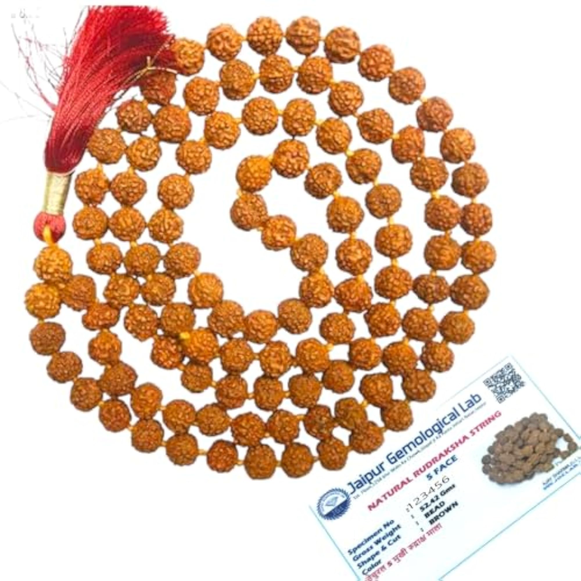 Genuine Original 5 Mukhi Rudraksha Maala, Certified