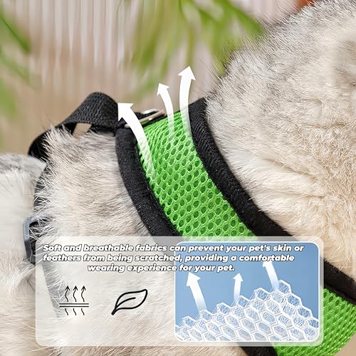 Image of 3 Pack Chicken Harness and Leash Set Adjustable Hen Vest with Matching Belt Breathable Mesh Training Harness Pets Leash for Hens Duck Goose Small Pet-Green&Purple&Blue,S