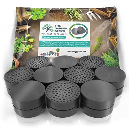 Comparison: Best Pots For Rubber Plants 11 The Garden Gecko Invisible Pot feet for Outdoor Plant pots and Flowers. Solid Rubber Pot risers with Enhanced Grip | 20 Pack.