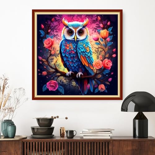 Image of Dimxvean Stamped Cross Stitch Kits,Cross Stitch Kits for Adults Beginners,Embroidery Kits Full Range of Cross Stitch Stamped Kits Needlepoint Kits Cross Stitch Patterns-Colorful Owl 18x18 inch