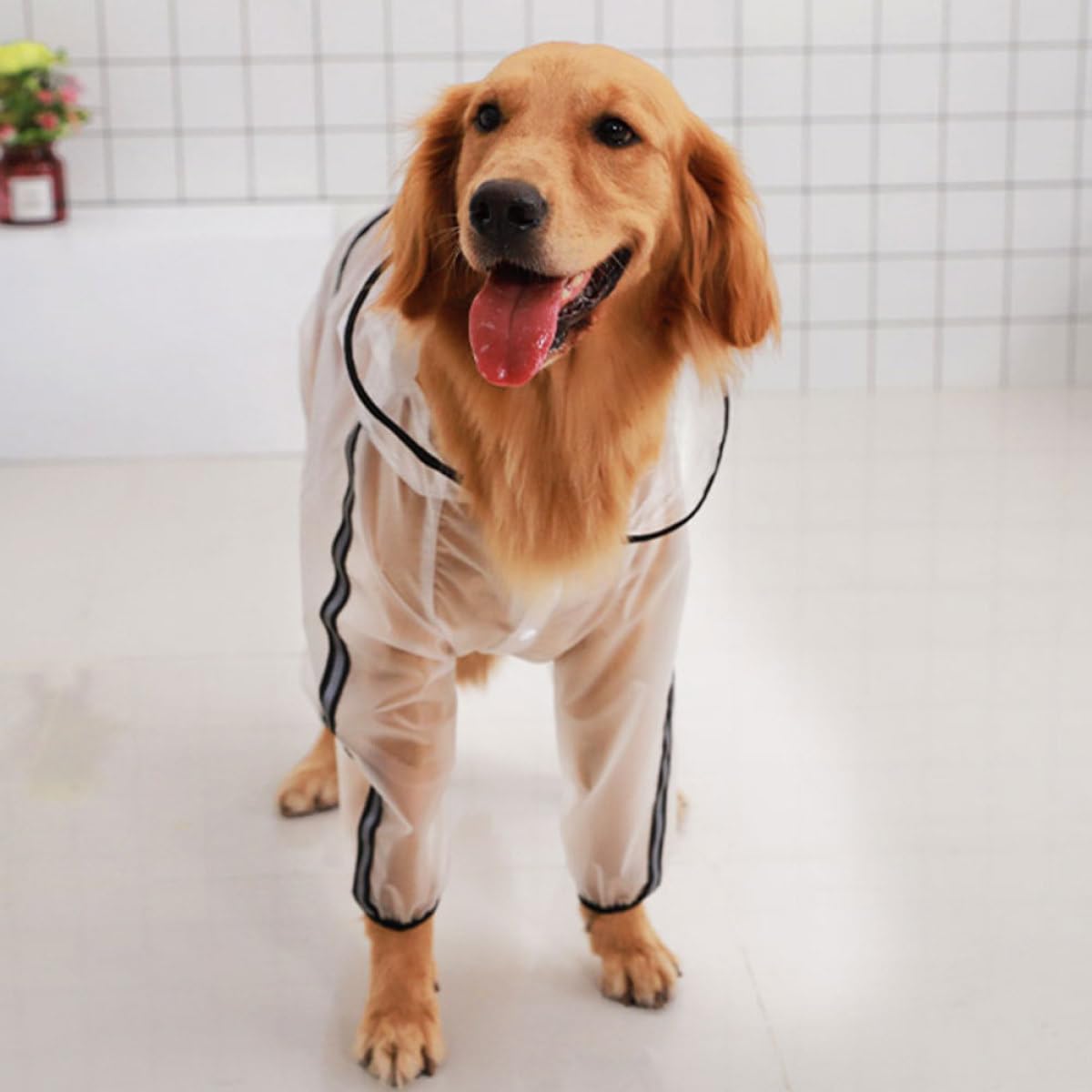 Atmungsaktiver Hunderegenmantel mit Kapuze und Vollständiger Abdeckung für Mittelgroße bis Große Hunde Robustes Material für Outdoor Einsätze und Regnerische Tage