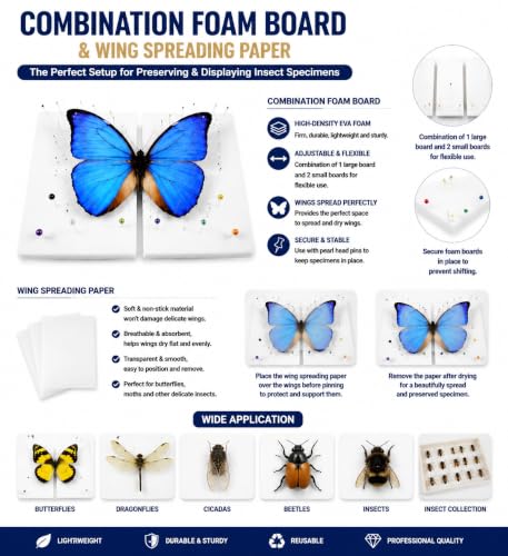 Image of Insect Pinning Kit for Beginners, Complete Bug Specimen Mounting Tools with Combination EVA Foam Board, Wing Spreading Paper, Insect Pins, Tweezers & Scissors, Butterfly Mounting Kit for Entomology