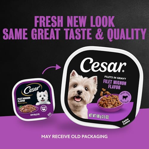 Image of Cesar Filets in Gravy Wet Dog Food, Filet Mignon Flavor, 3.5 oz, 24 Count | Real beef, easy to digest, no fillers, no added sugar, no artificial flavors, slow-cooked tender texture, easy peel trays